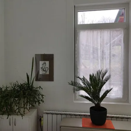 - Kuca Za Odmor Slatina Vrnjačka Banja