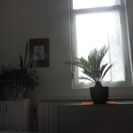 Kuca Za Odmor Slatina * Vrnjacka Banja