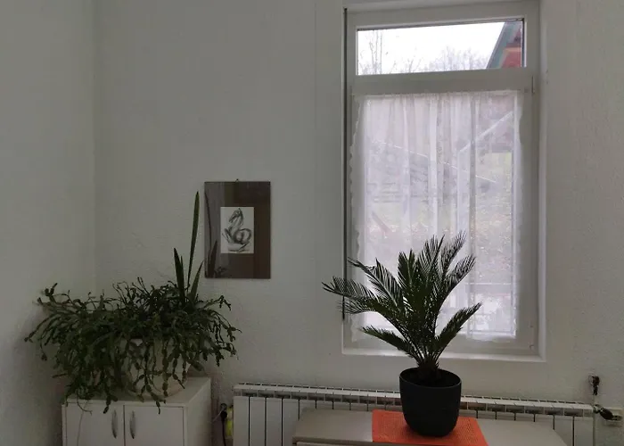 - Kuca Za Odmor Slatina Vrnjačka Banja